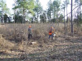 Chattokee Lodge Quail & Pheasant Hunting in Alabama