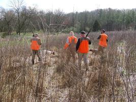 Quail & Pheasant Hunting in Alabama at Chattokee Lodge