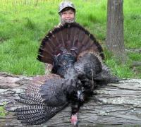 Turkey Hunting